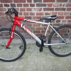 Vtt 24 Pouces Achet Il Y A Un An/double Usage