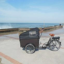 Triporteur Electrique 36v/10ah 4 Places Enfants Babboe