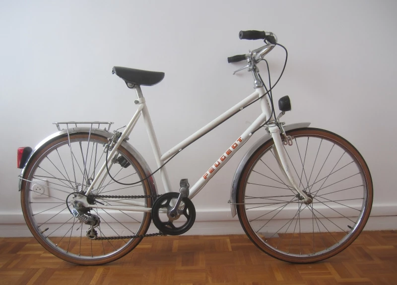 Peugeot Fille 1984 - 22 Pouces