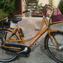 Vlo Assistance Lectrique Amsterdamer Double Dutch Low