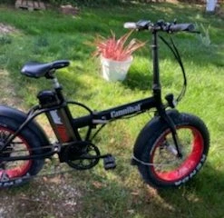 Fat Bike Pliant Cannibal