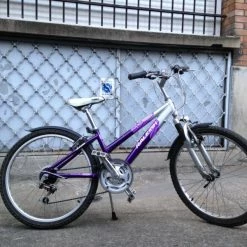 Velo Raleigh 10-14 Ans