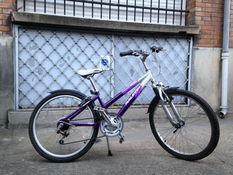 Velo Raleigh 10-14 Ans