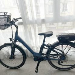 Vlo Assistance Electrique: Giant Entour E + 1 Lds 2019