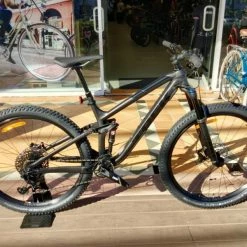 Trek Fuel Ex 8 29 (2019)