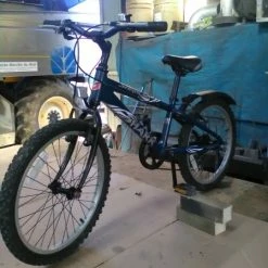 Shark "saracen" 6/8 Ans