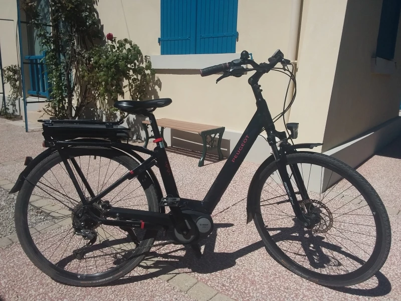 Marque Peugeot - Batterie Neuve